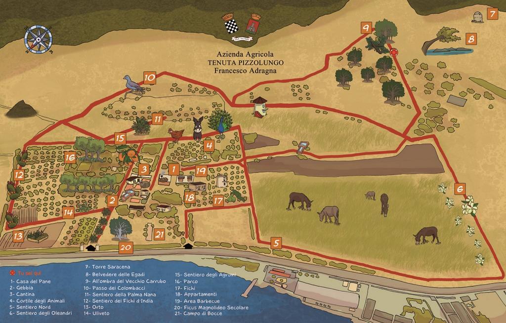 Azienda Agrituristica Tenuta Pizzolungo Erice Dış mekan fotoğraf