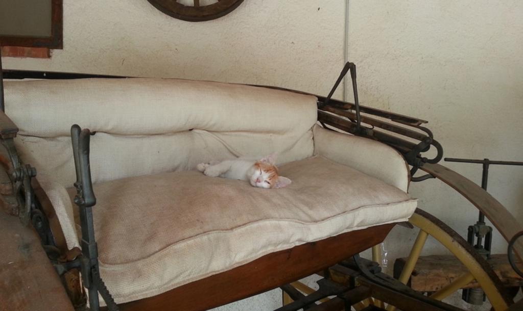 Azienda Agrituristica Tenuta Pizzolungo Erice Dış mekan fotoğraf