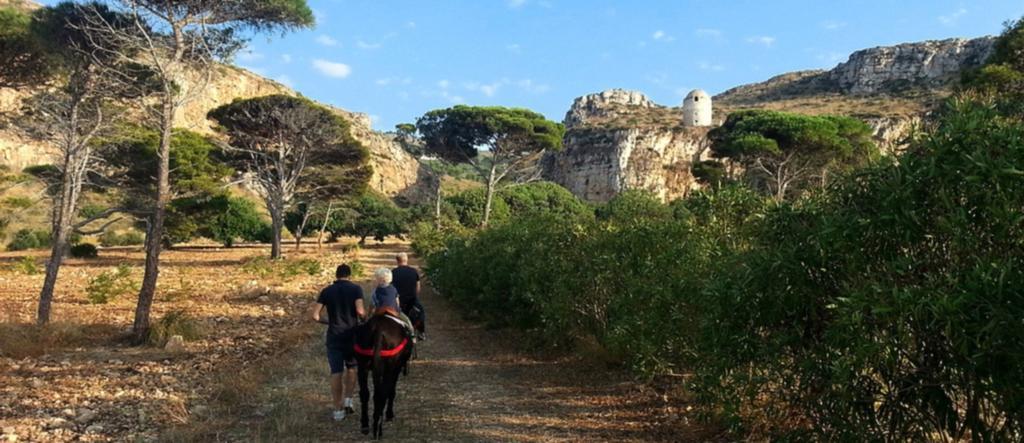Azienda Agrituristica Tenuta Pizzolungo Erice Dış mekan fotoğraf