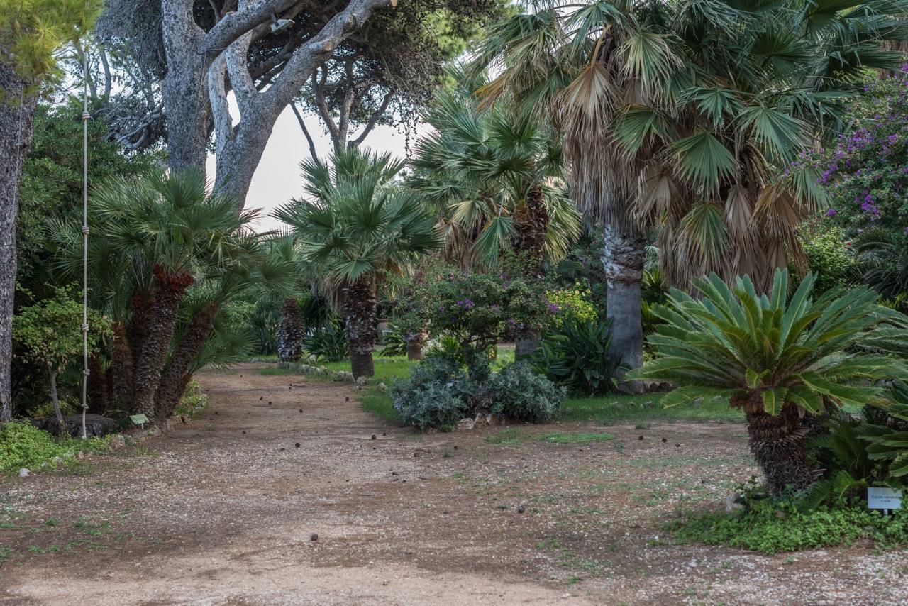 Azienda Agrituristica Tenuta Pizzolungo Erice Dış mekan fotoğraf
