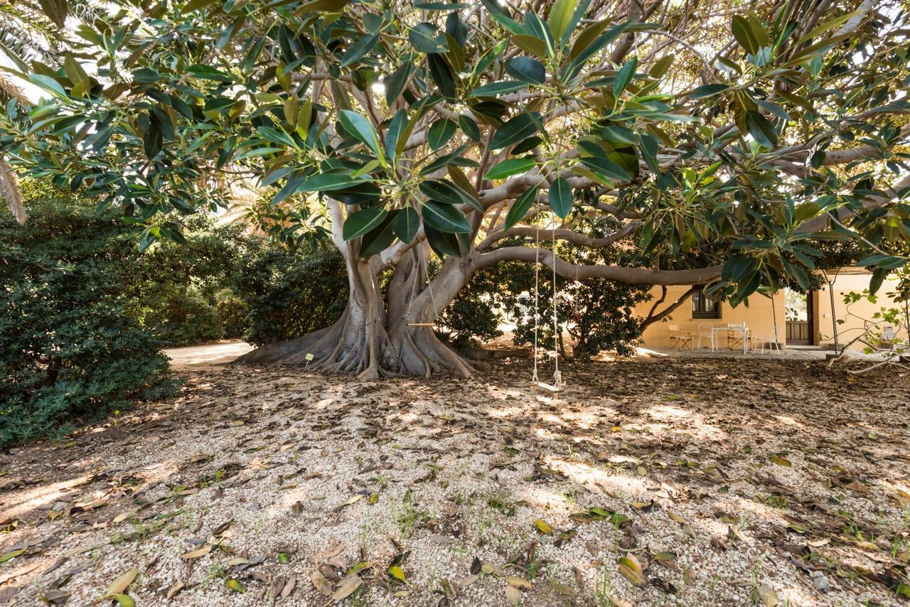 Azienda Agrituristica Tenuta Pizzolungo Erice Dış mekan fotoğraf
