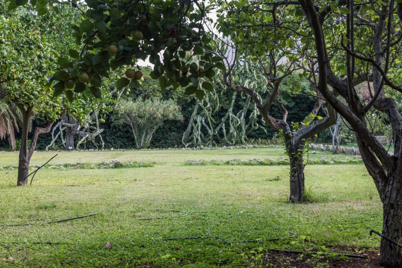 Azienda Agrituristica Tenuta Pizzolungo Erice Dış mekan fotoğraf